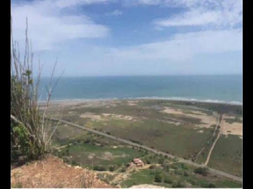 Cartagena, Cartagena de Indiasの土地