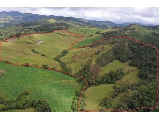 La Unión, Departamento de Antioquiaのカントリー風またはファームハウス