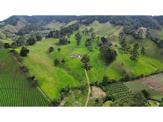 전원/농가 / La Ceja, Departamento de Antioquia