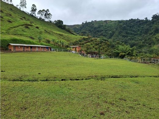 Farmhouse in Pereira, Departamento de Risaralda