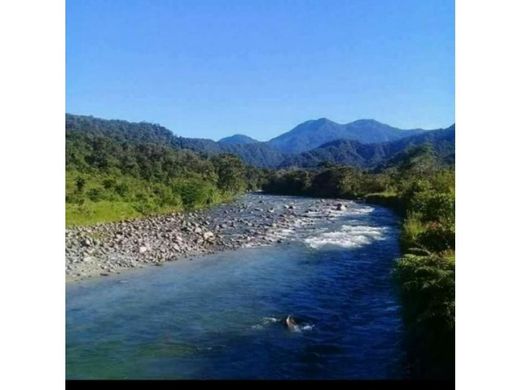 Arsa El Carmen de Atrato, Departamento del Chocó