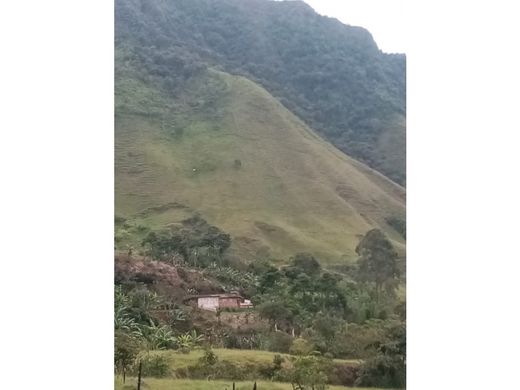 Gutshaus oder Landhaus in Támesis, Departamento de Antioquia