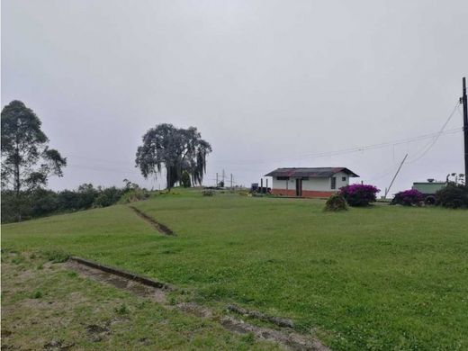‏בתים כפריים או חוות ב  Manizales, Departamento de Caldas