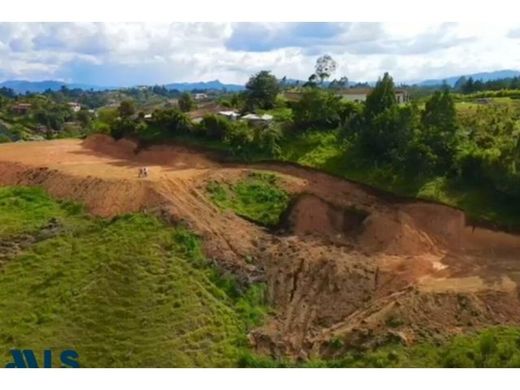 토지 / Rionegro, Departamento de Antioquia