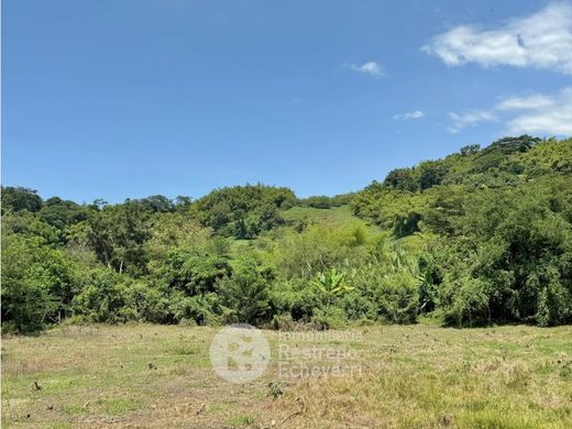 Palestina, Departamento de Caldasの土地