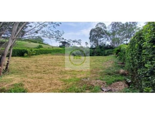 Grond in Pereira, Departamento de Risaralda