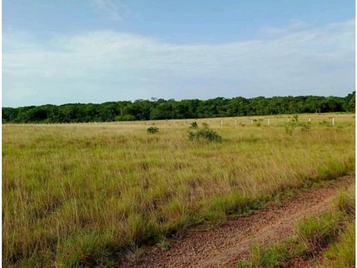 Cortijo o casa de campo en Puerto Gaitán, Departamento del Meta