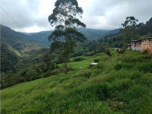 토지 / Yarumal, Departamento de Antioquia