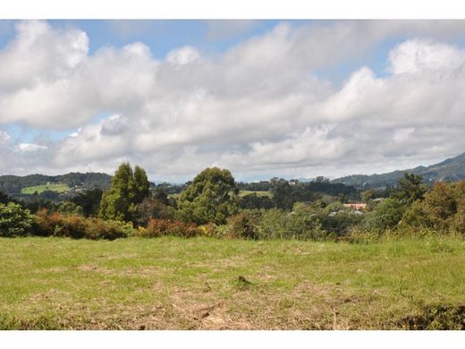 Land in Medellín, Departamento de Antioquia