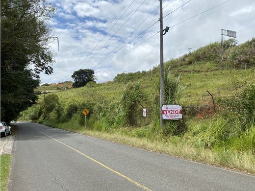 El Darién, Planadasの土地