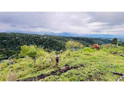 Terreno - Filandia, Quindío Department