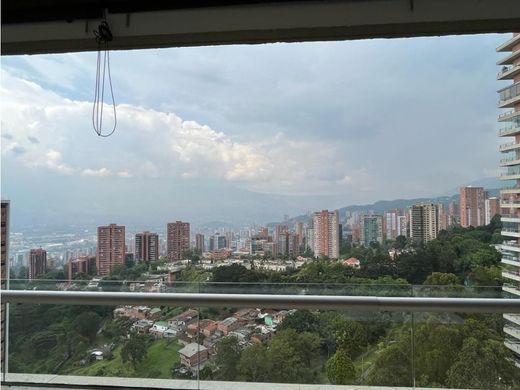 Daire Medellín, Departamento de Antioquia