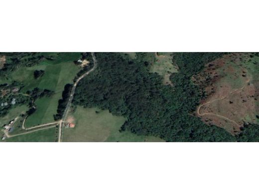 Land in Rionegro, Departamento de Antioquia