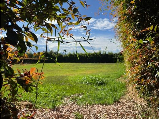 Land in Rionegro, Departamento de Antioquia