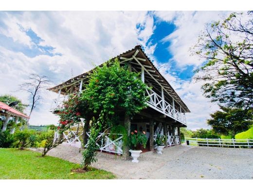 宾馆/酒店  Calarcá, Calarca