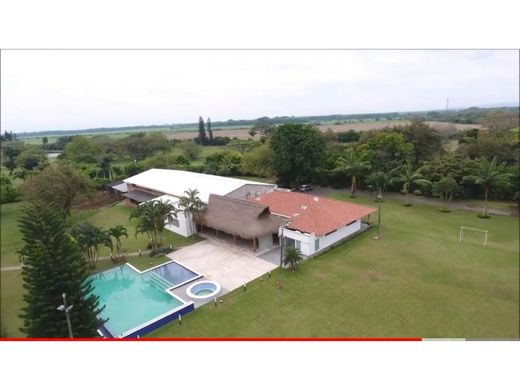 地皮  卡利, Cali