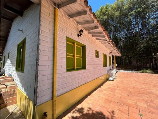 Rionegro, Departamento de Antioquiaのカントリー風またはファームハウス