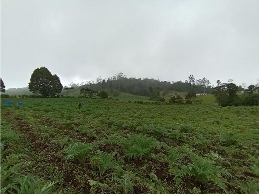 Farmhouse in Granada, San Luis de Sincé