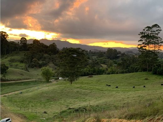 Terreno a Rionegro, Departamento de Antioquia
