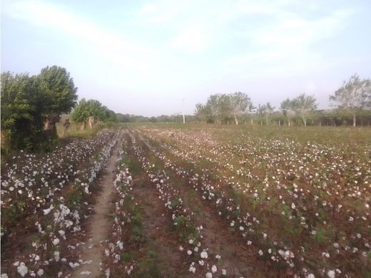 Grundstück in Montería, Departamento de Córdoba