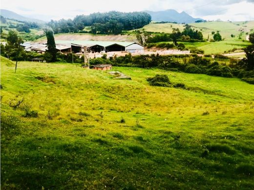 Land in Cogua, Cundinamarca