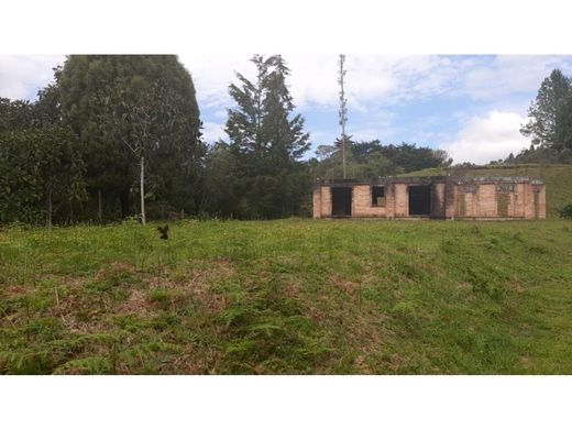 Terreno en Envigado, Departamento de Antioquia