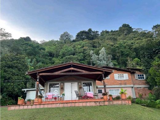 Gospodarstwo w Envigado, Departamento de Antioquia