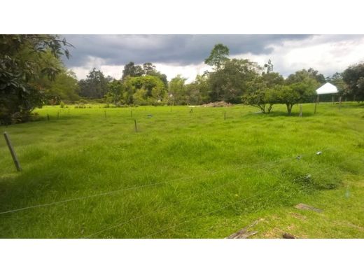 Land in Rionegro, Departamento de Antioquia