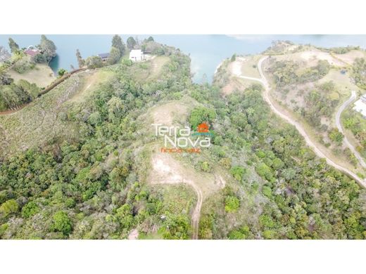 ‏קרקע ב  El Peñol, Yarumal