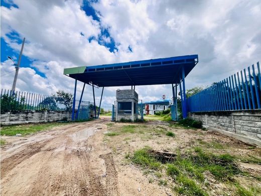 Cartagena, Cartagena de Indiasの土地