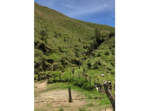 Quinta rústica - Herveo, Departamento de Tolima