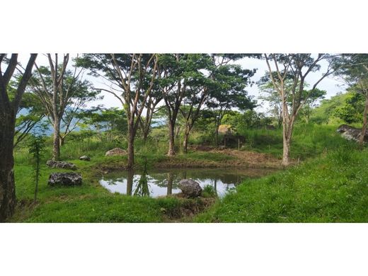 Terreno a Jericó, Departamento de Antioquia