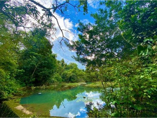 Grond in Restrepo, Departamento del Meta