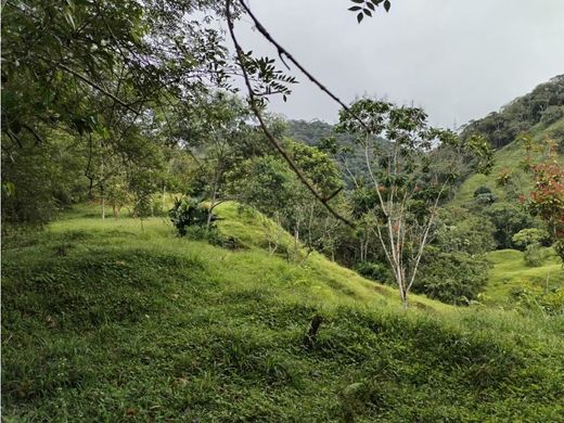 Terreno a Cocorná, Departamento de Antioquia