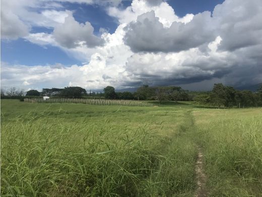 Land in Armenia, Quindío Department