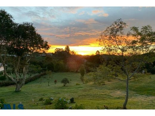 Arsa Envigado, Departamento de Antioquia