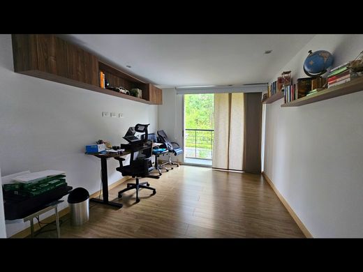 Daire Medellín, Departamento de Antioquia