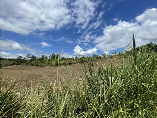 Land in La Tebaida, Quindío Department