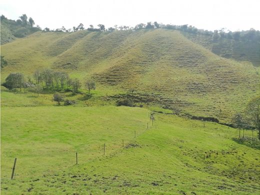 전원/농가 / La Ceja, Departamento de Antioquia