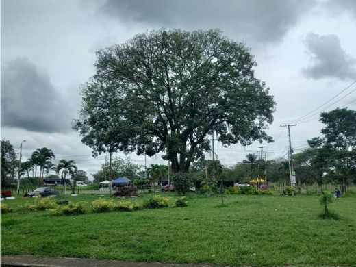 Jamundí, Departamento del Valle del Caucaの土地