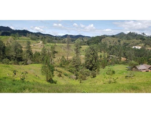 Retiro, Departamento de Antioquiaの土地