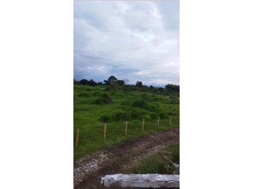 Terreno en La Tebaida, Quindío Department