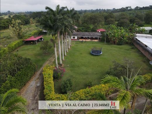 Arsa Armenia, Quindío Department