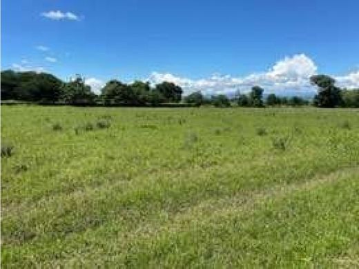 地皮  Girardot City, Girardot