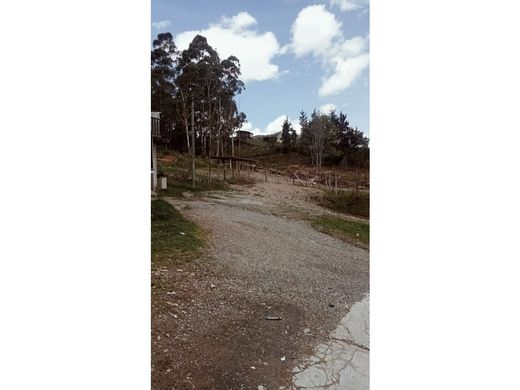 토지 / Guarne, Departamento de Antioquia