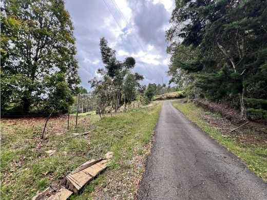 Land in Rionegro, Departamento de Antioquia