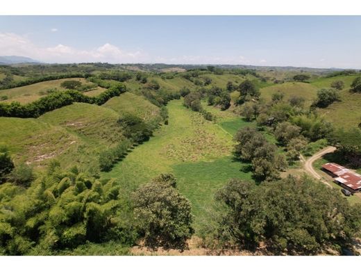 Pereira, Departamento de Risaraldaのカントリー風またはファームハウス