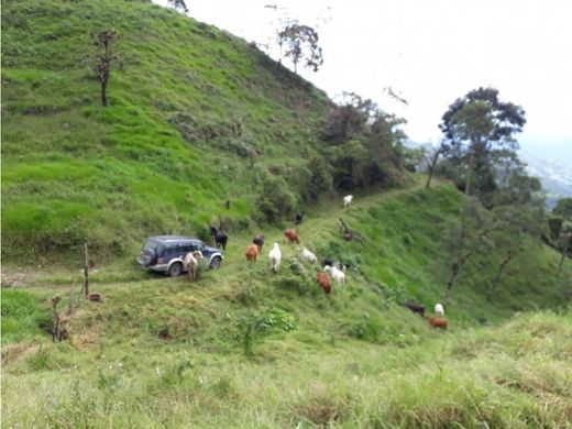 La Vega, Departamento de Cundinamarcaのカントリー風またはファームハウス
