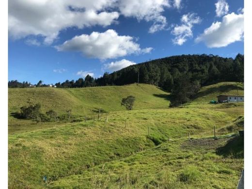 Αγροτεμάχιο σε Retiro, Departamento de Antioquia