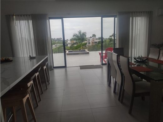 Gospodarstwo w Pereira, Departamento de Risaralda